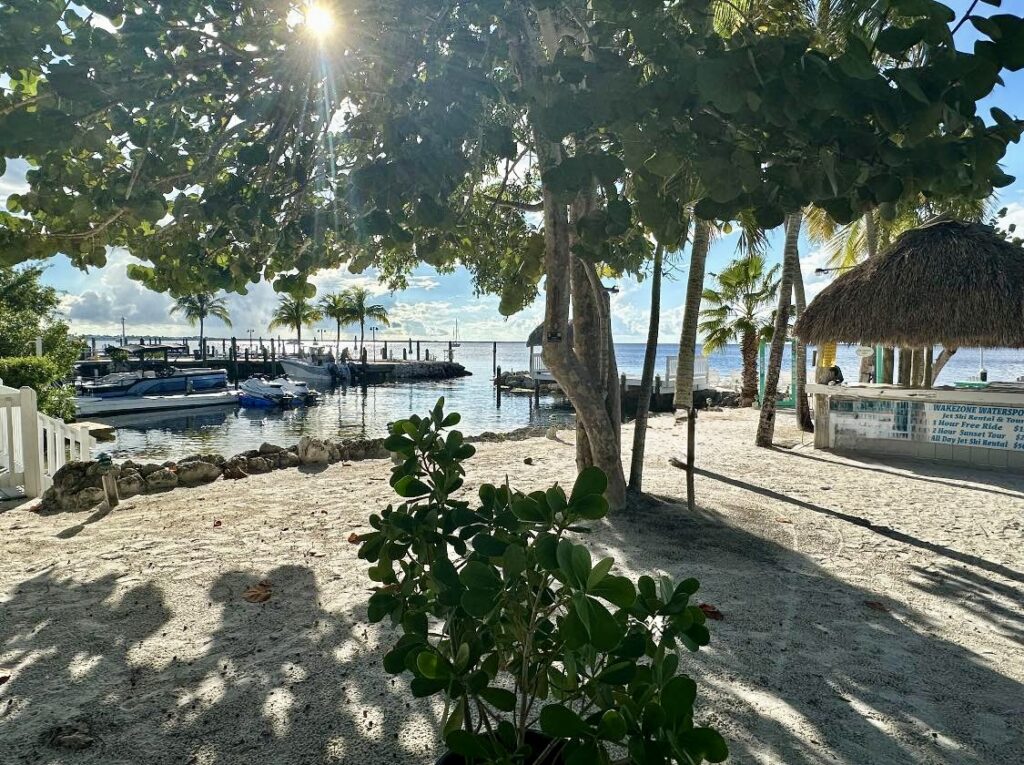 Florida Keys locations for Wakezone Watersports in Key Largo